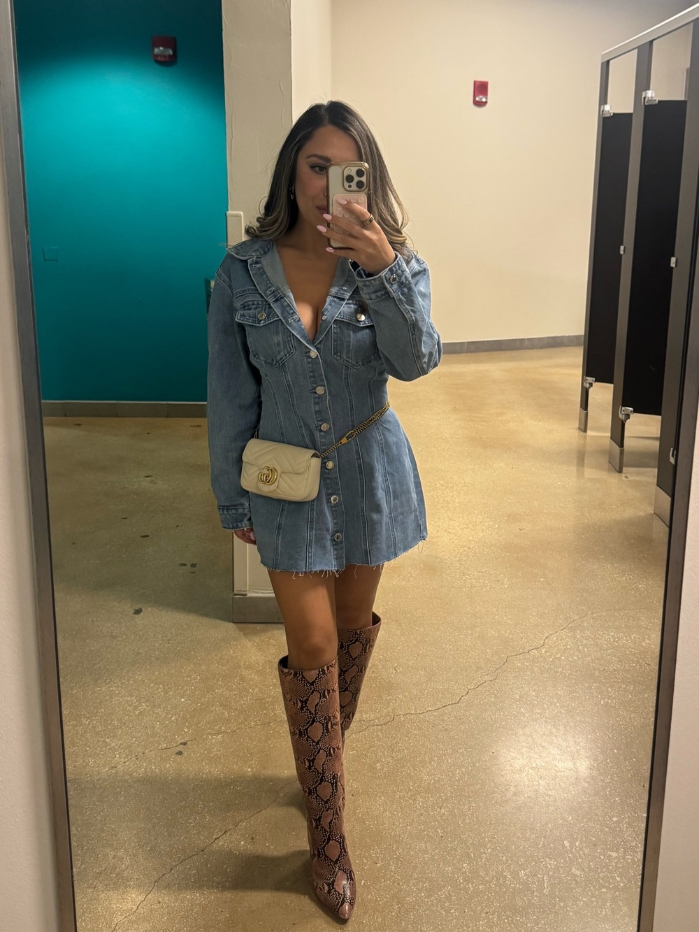 Light Blue Denim dress Petite Sophisticate